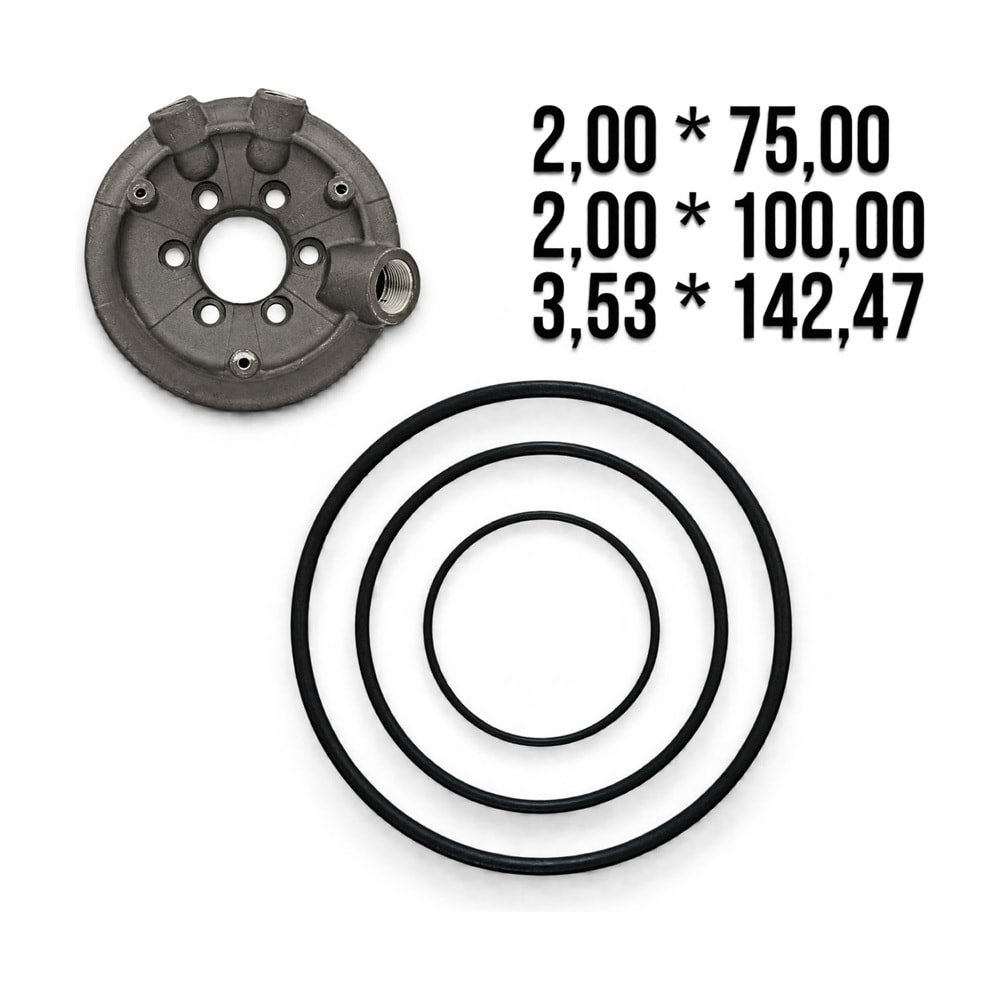 Pompa Manifold O-ring Takımı (YBSPUMP YP-71-81 Uyumlu)