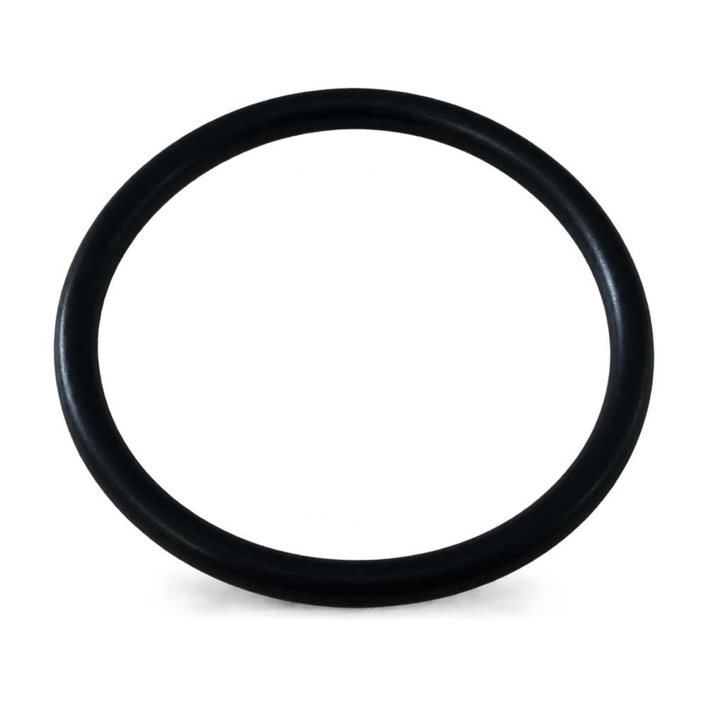 Pompa O-ring Gözlük (Annovi Reverberi AR 1604 Uyumlu)