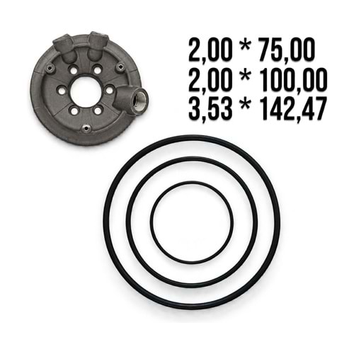 Pompa Manifold O-ring Takımı (YBSPUMP YP-71-81 Uyumlu)