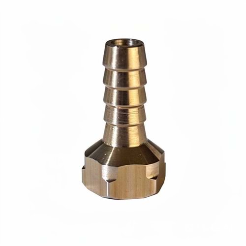 HORTUM FİŞEK 10 MM DİŞİ PASOLU 3/8